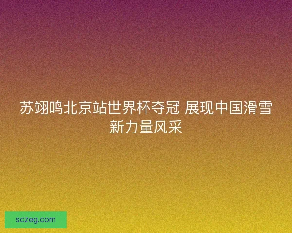 苏翊鸣北京站世界杯夺冠 展现中国滑雪新力量风采