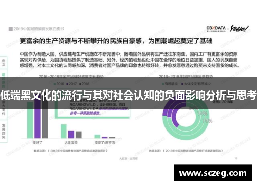 低端黑文化的流行与其对社会认知的负面影响分析与思考